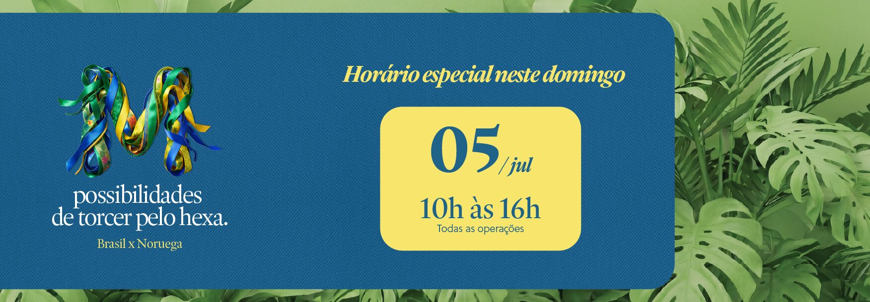 Jogo Brasil 05/07